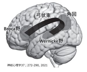 /wiki/images/thumb/e/eb/Language-area-localization-basic-Jpn.jpg/300px-Language-area-localization-basic-Jpn.jpg