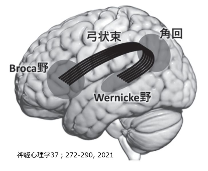 ファイル:Language-area-localization-basic-Jpn.jpg