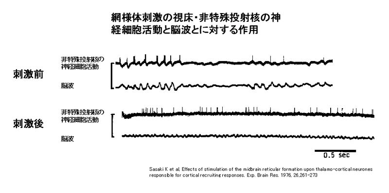 ファイル:00192.jpg