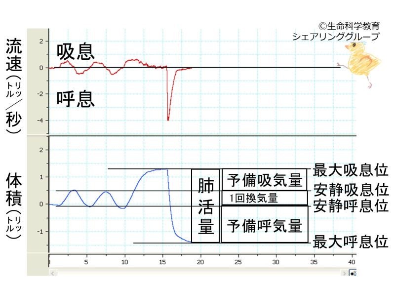 ファイル:03153.jpg