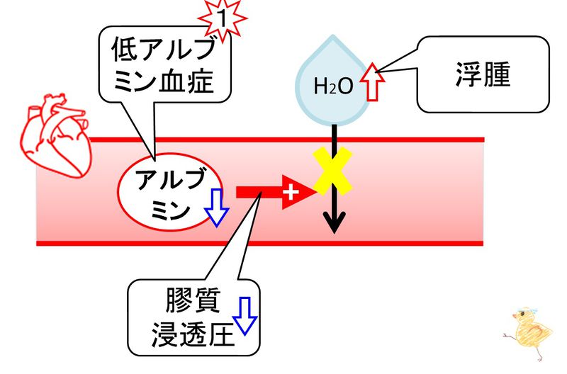 ファイル:03803.jpg