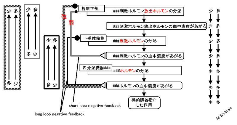 ファイル:00714.jpg