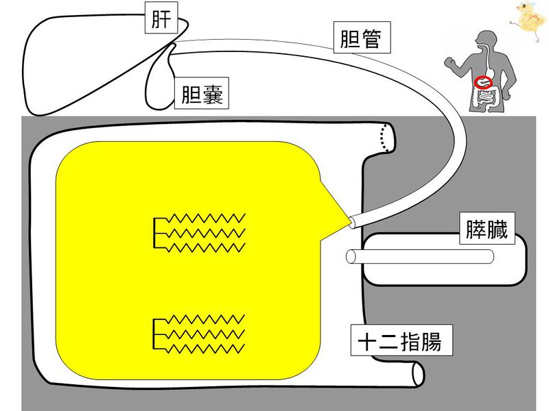 ファイル:01537.jpg
