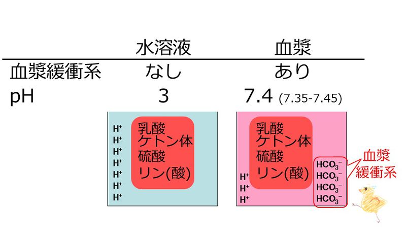 ファイル:04386.jpg