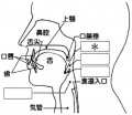 /wiki/images/thumb/e/ee/%E5%9A%A5%E4%B8%8B%E3%81%AE%E5%9B%B31.jpg/120px-%E5%9A%A5%E4%B8%8B%E3%81%AE%E5%9B%B31.jpg