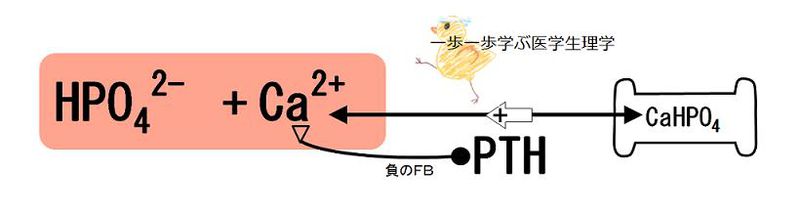 ファイル:01631.jpg