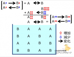 ChemicalEquilibriumChangesByIncInMolB-4.jpg