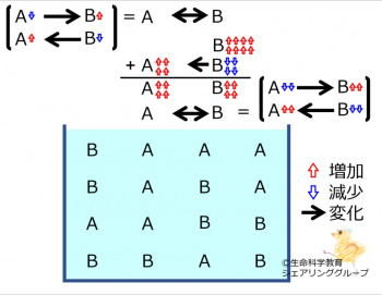 ChemicalEquilibriumChangesByIncInMolB-4.jpg