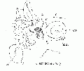 00216.gif