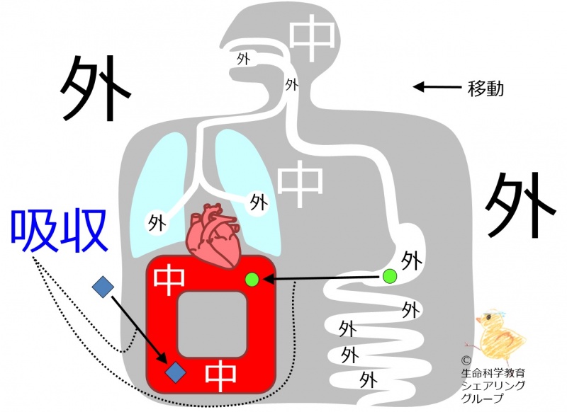 ファイル:04600.jpg