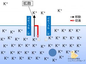 /wiki/images/thumb/e/ef/Diffusion2potential_ja.jpg/300px-Diffusion2potential_ja.jpg