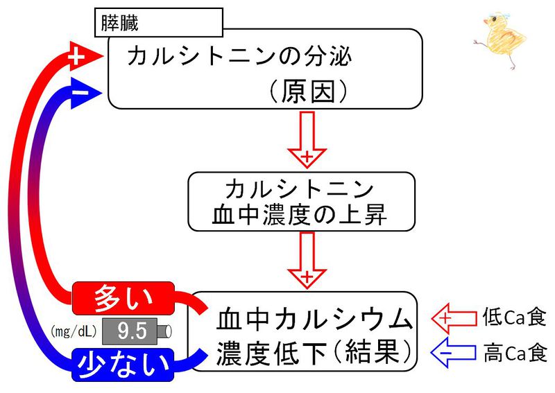 ファイル:00743.jpg