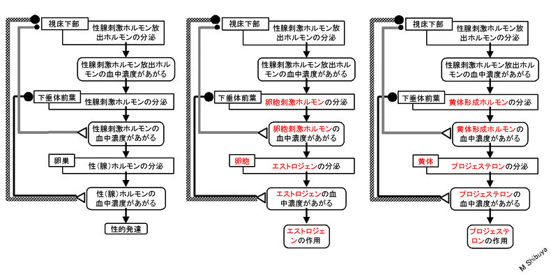 ファイル:00808.jpg