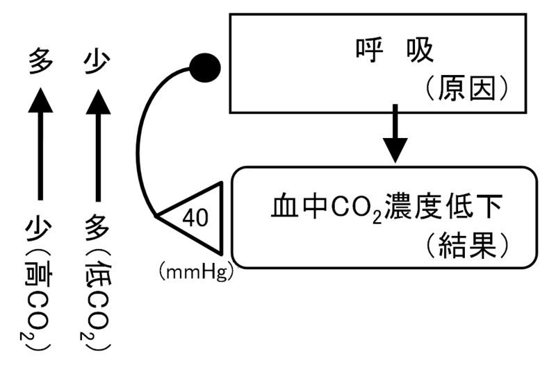 ファイル:01368.jpg