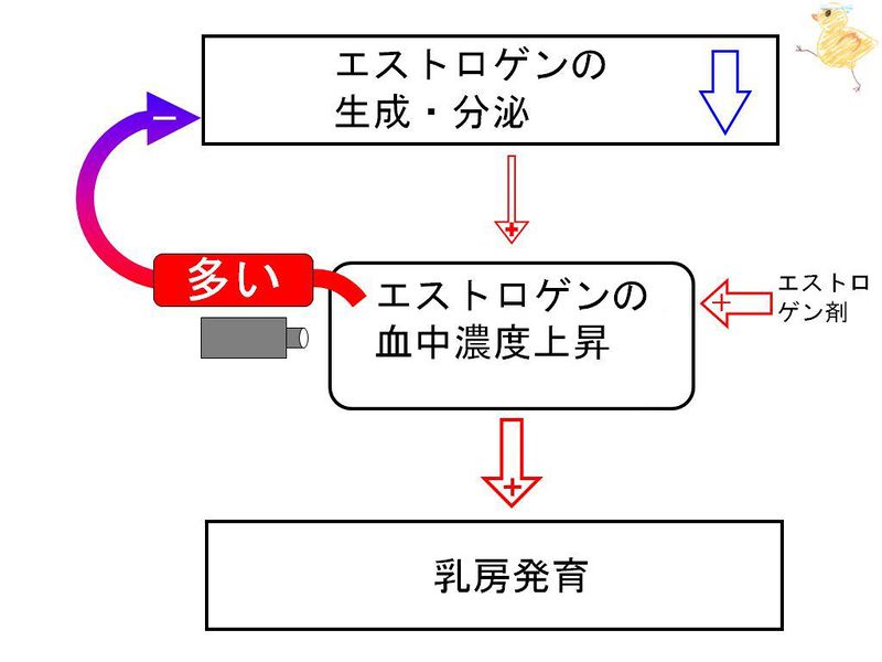 ファイル:02429.jpg