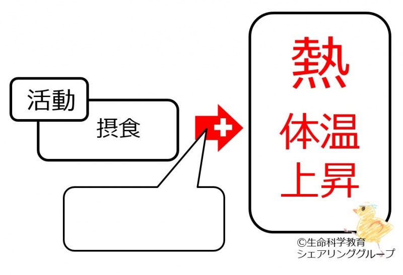 ファイル:03970-wb.jpg