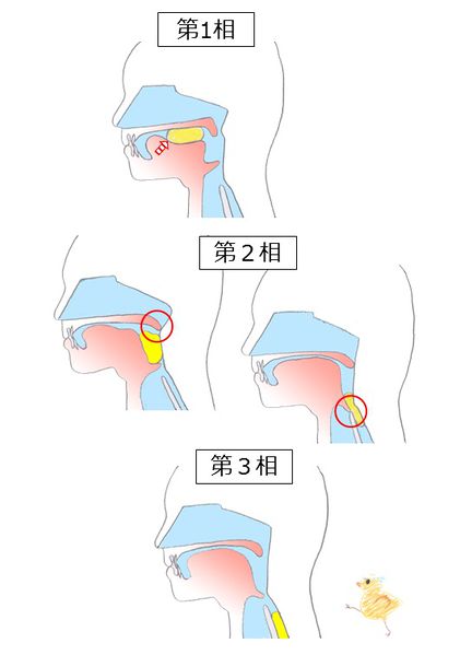 ファイル:04049.jpg