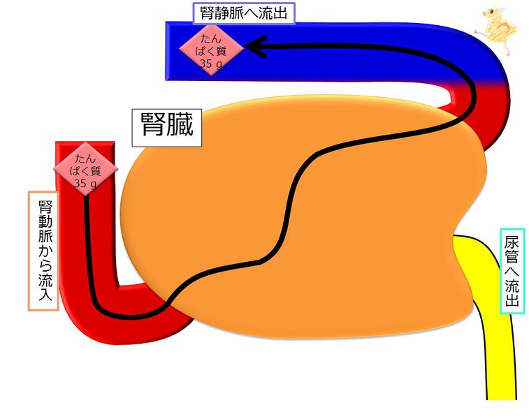 ファイル:04275.jpg