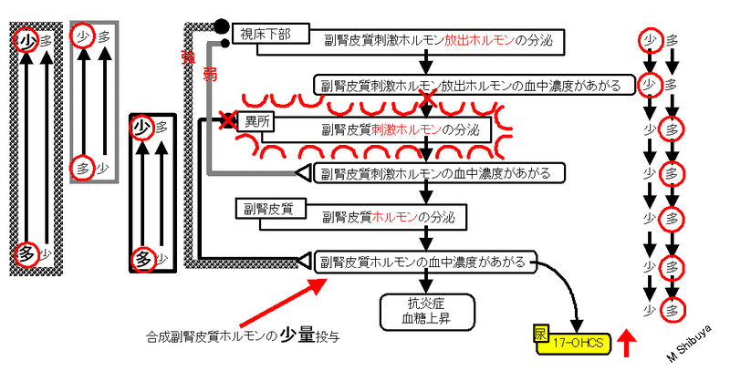 ファイル:00790.jpg