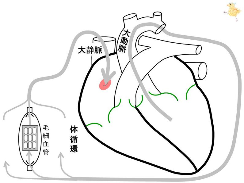 ファイル:01238.jpg