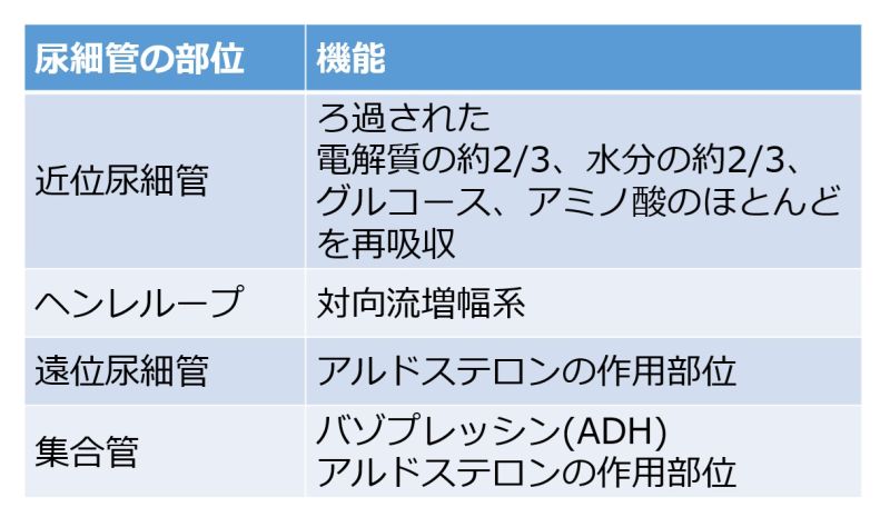 ファイル:Tubule table.jpg