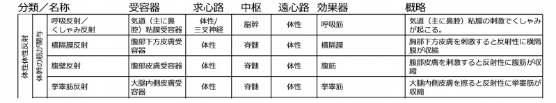 ファイル:体幹の筋が関与する反射.jpg