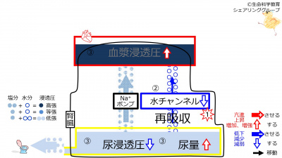 6-decChannel-effect2.jpg