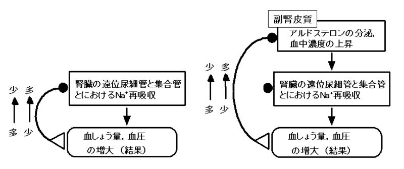 ファイル:00342.jpg
