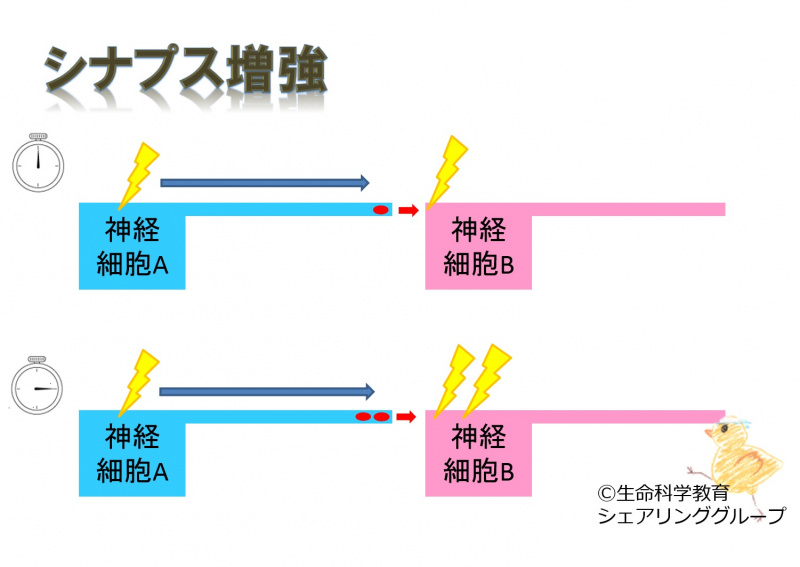 ファイル:02700.jpg