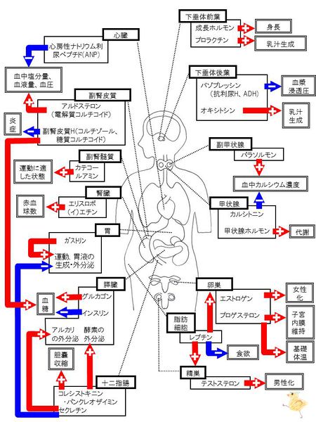 ファイル:03445.jpg