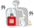 2013年3月22日 (金) 00:38時点における版のサムネイル