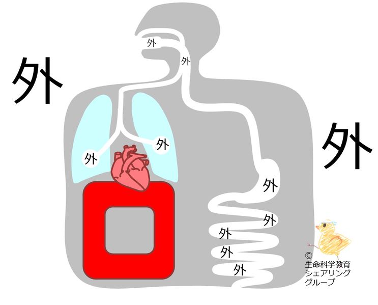 ファイル:04596.jpg