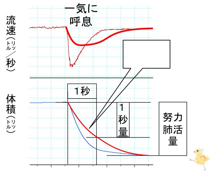 ファイル:PulmFuncTestObstructive-basic-wb.jpg