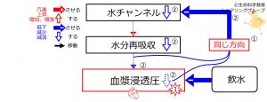 /wiki/images/thumb/f/f3/WaterIntakeDuringBasicFeedbackToWaterChannels-Jpn.jpg/300px-WaterIntakeDuringBasicFeedbackToWaterChannels-Jpn.jpg