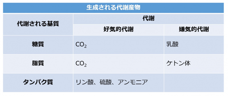 ファイル:生体内での酸性物質の生成.jpg