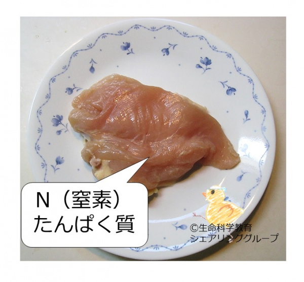 窒素.jpg