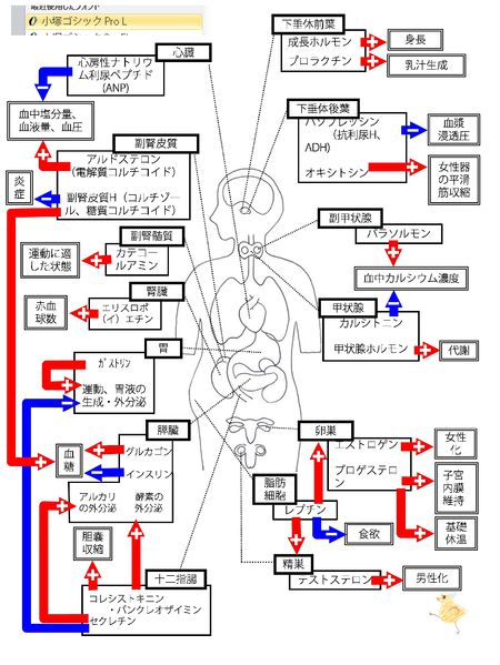 ファイル:03553.jpg