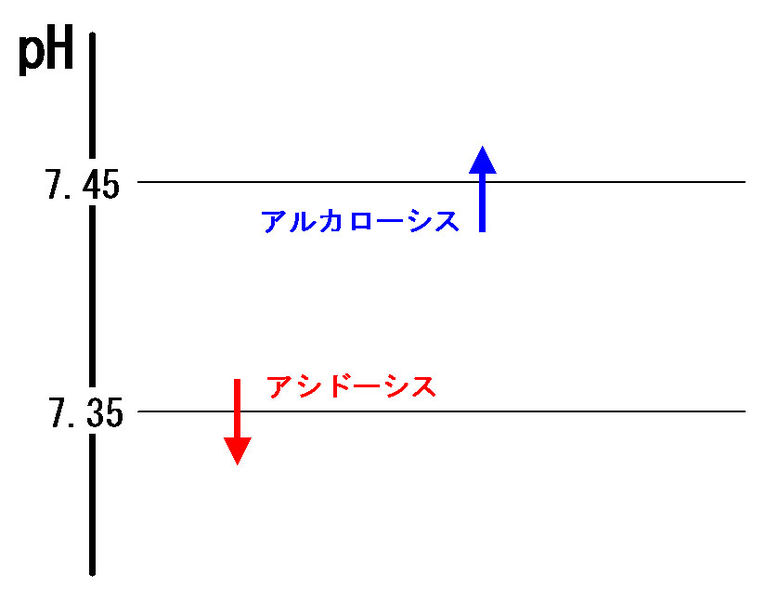 ファイル:00645.jpg