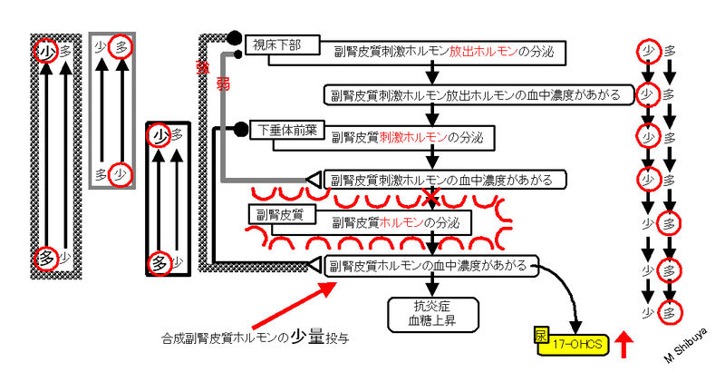 ファイル:00796.jpg