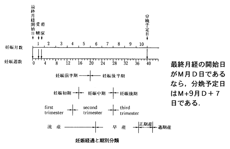 ファイル:00820.gif