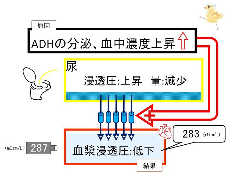 ファイル:02248.jpg