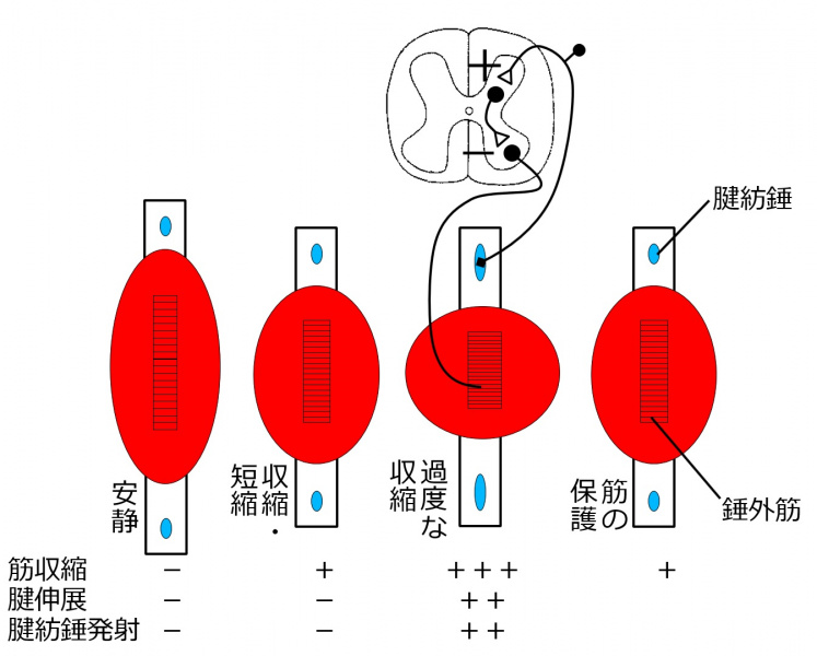 ファイル:02512.jpg