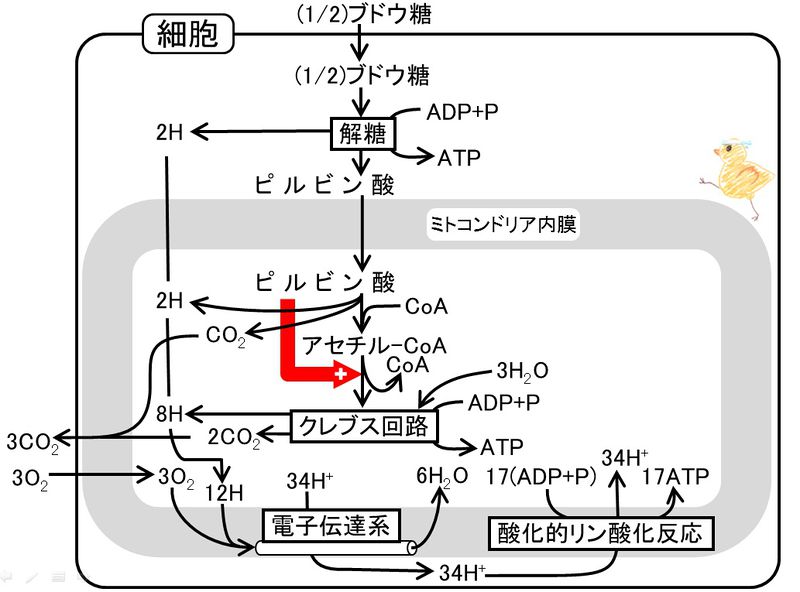 ファイル:03413.jpg
