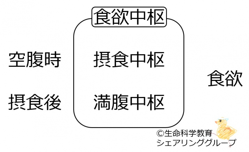 ファイル:04012-wb.jpg