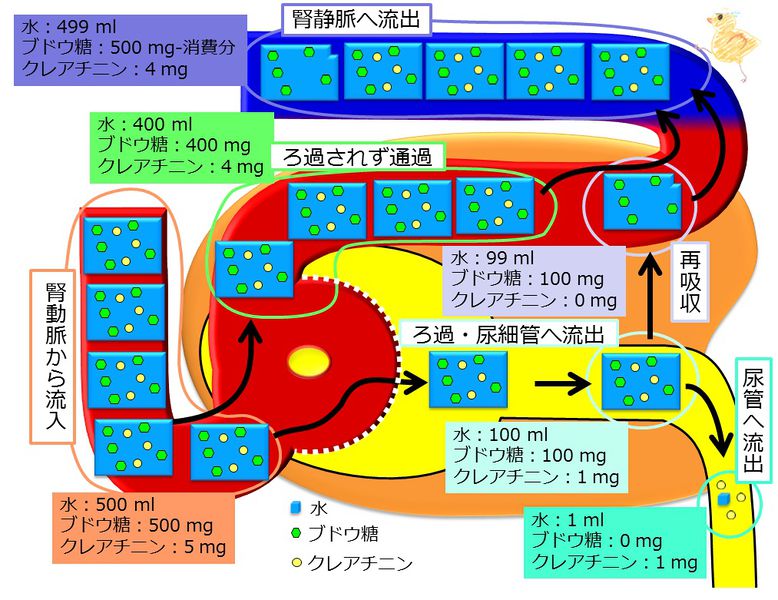 ファイル:04338.jpg