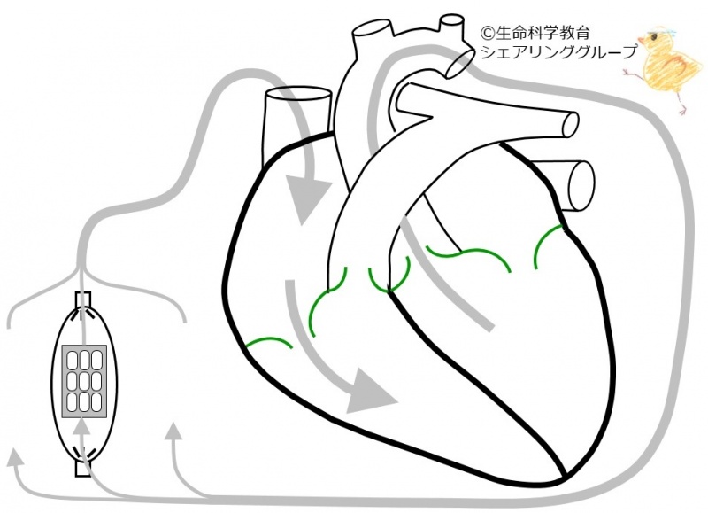 ファイル:01691-wb.jpg