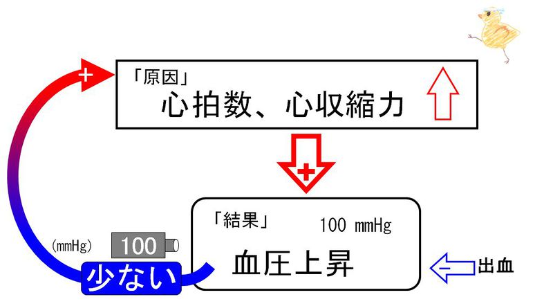 ファイル:02116.jpg