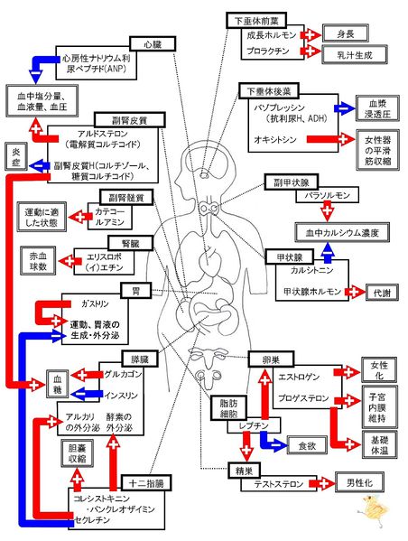 ファイル:03547.jpg