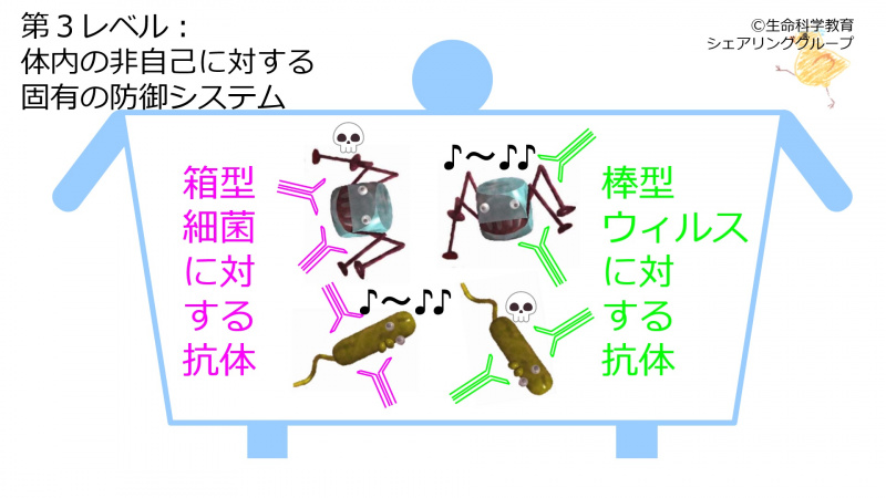 ファイル:03743.jpg