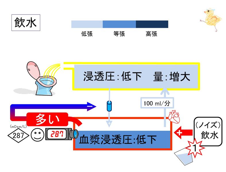 ファイル:03934.jpg